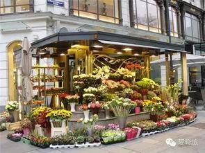 吃瓜花店视频大全,趣味横生的花店日常大揭秘