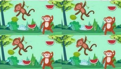 娃娃吃瓜故事大全图片视频