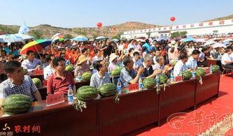 府谷吃瓜视频,揭秘当地特色美食背后的故事