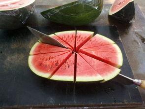 成精的吃瓜视频,揭秘网络红人背后的神秘世界