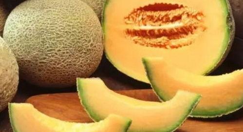 吃哈密瓜的小红帽视频,一场甜蜜的冒险之旅