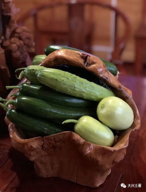 汾阳吃瓜视频最新回放,揭秘幕后真相，带你直击现场