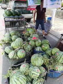 商洛吃瓜事件视频最新,视频揭露惊人真相，网友热议不断