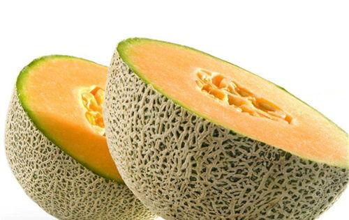 捡哈密瓜给爸爸吃视频大全